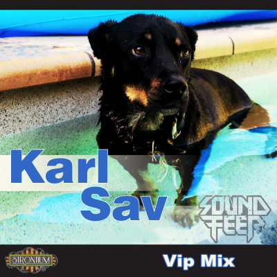 Karl Sav - Soundfeer (Vip Mix)